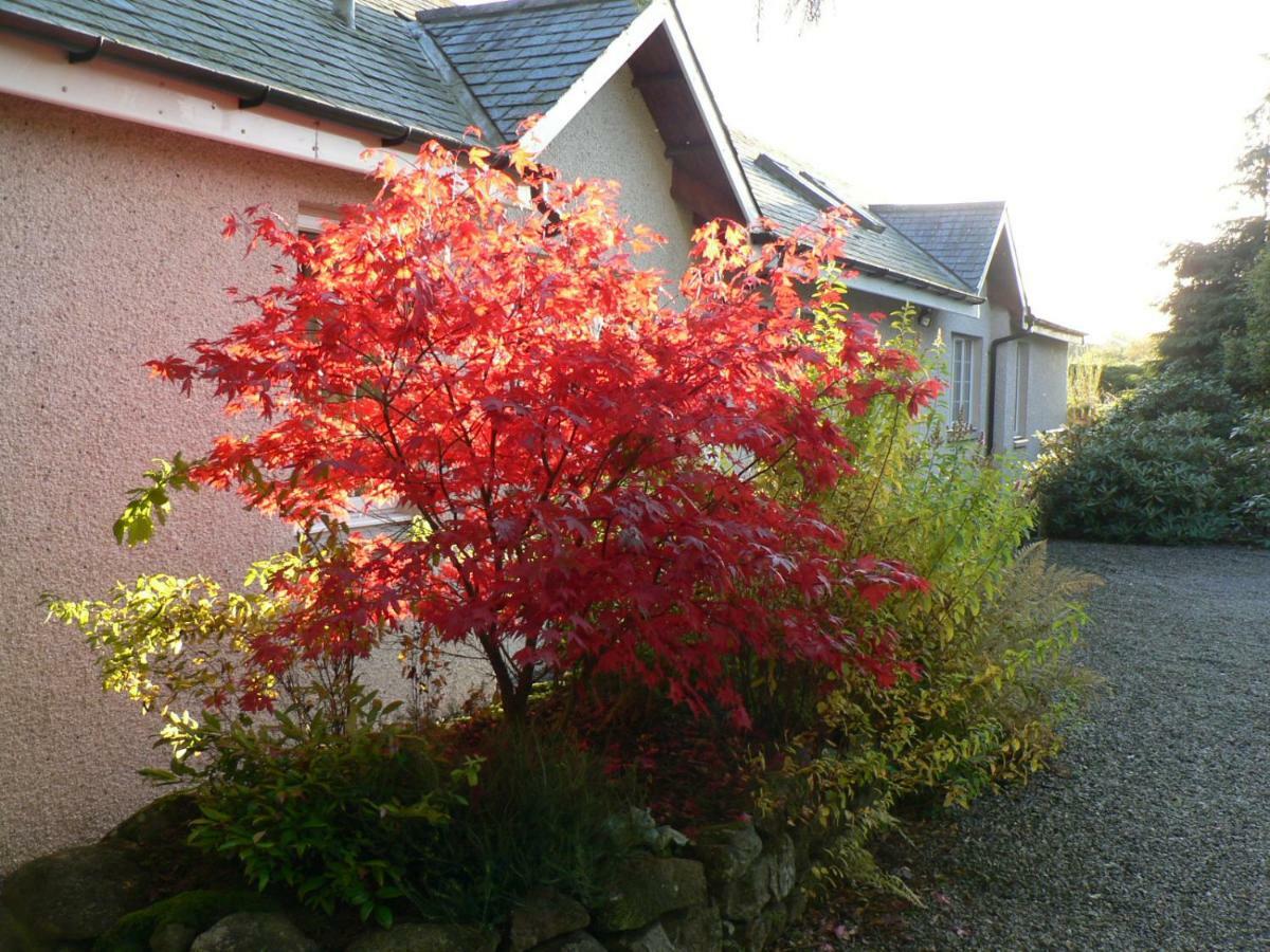 Bridge Of Bennie Cottage Banchory Exteriör bild